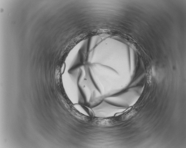 X0000052590472200507292102