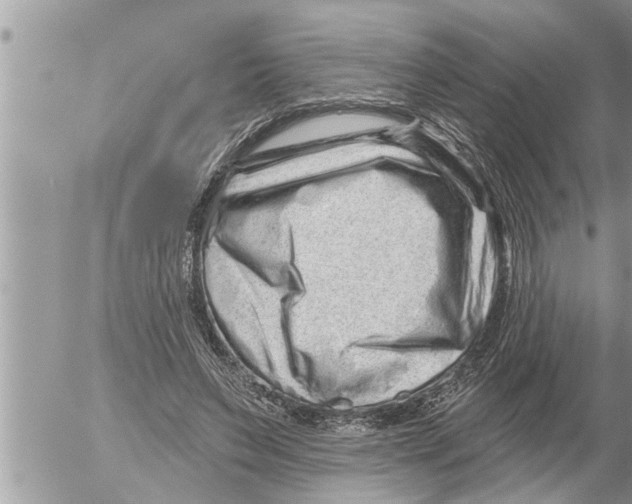 X0000052590495200507292101