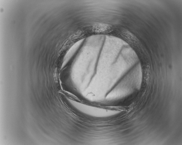 X0000052590510200507292101