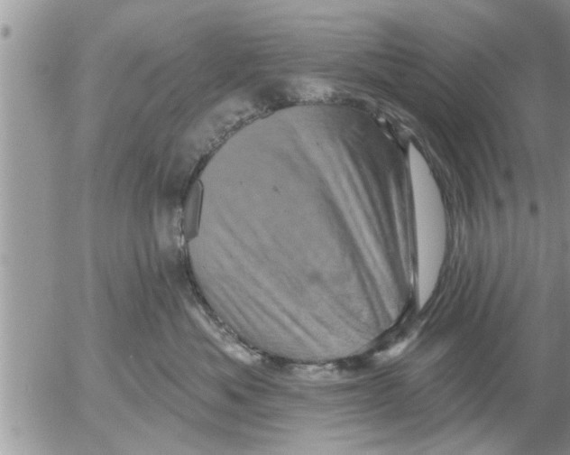 X0000052590525200507292100