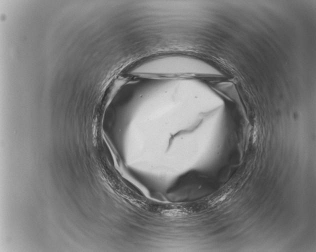 X0000052590544200507292100