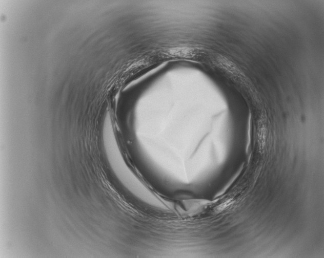 X0000052590593200507292059