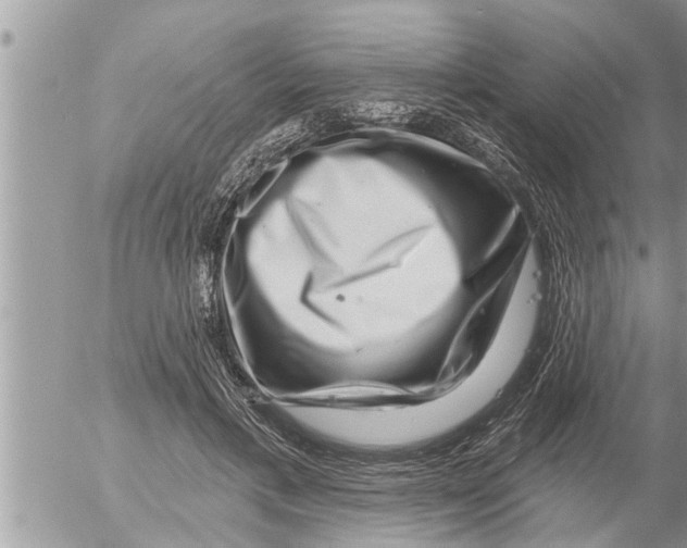 X0000052590597200507292059