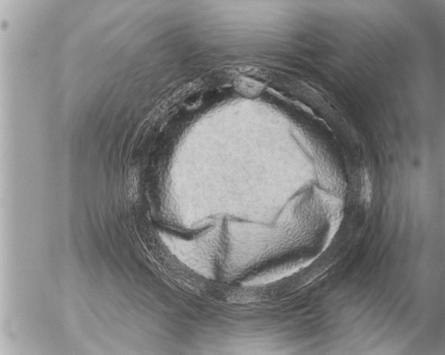 X0000052590602200507292059