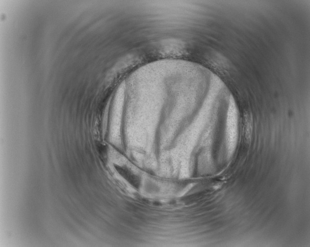 X0000052590619200507292059