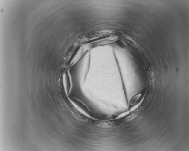 X0000052590664200507292059