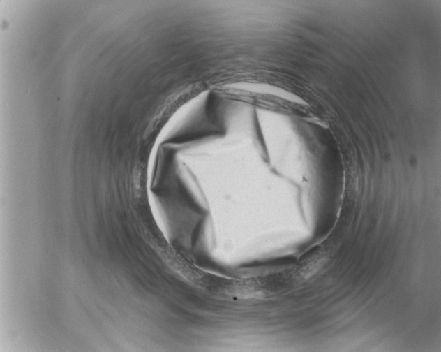 X0000052590668200507292059