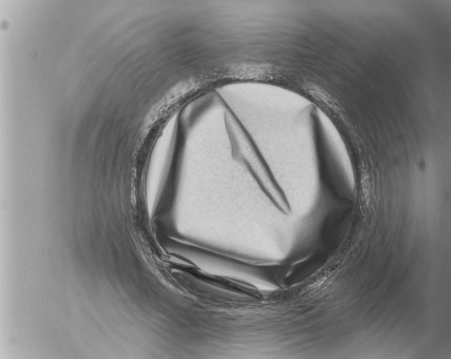 X0000052590682200507292058