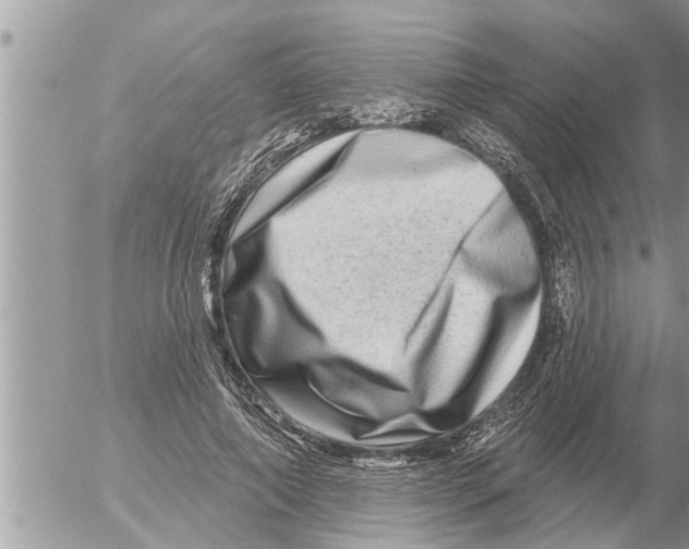 X0000052590690200507292058