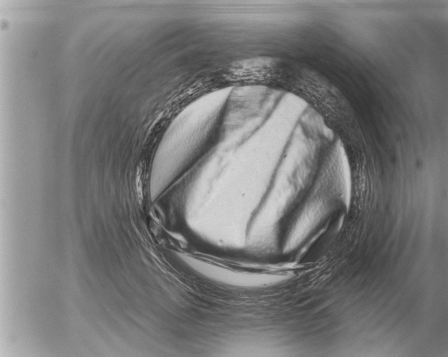 X0000052590751200507292057