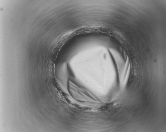 X0000052590773200507292056