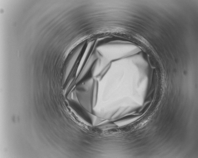 X0000052590826200507292055