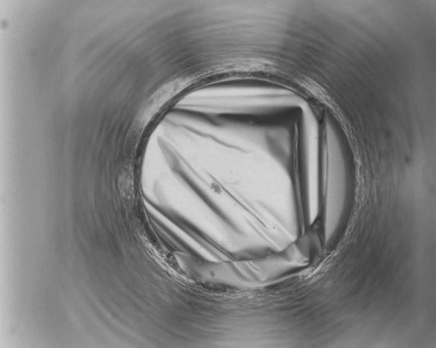 X0000052590834200507292055