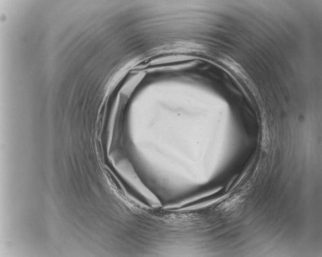 X0000052590850200507292055