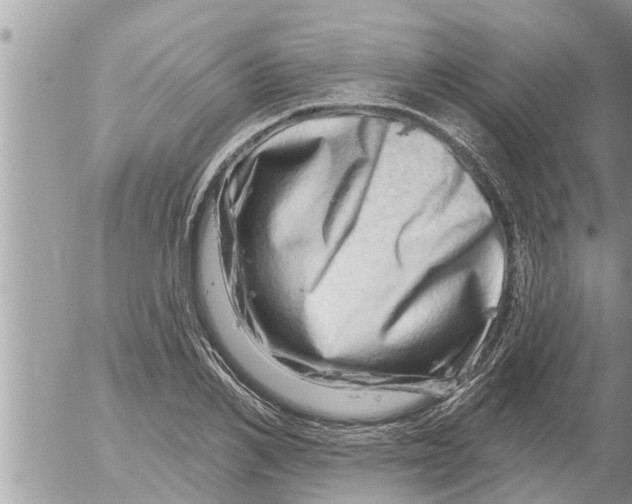 X0000052590982200507292053