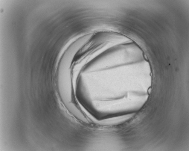 X0000052591008200507292052