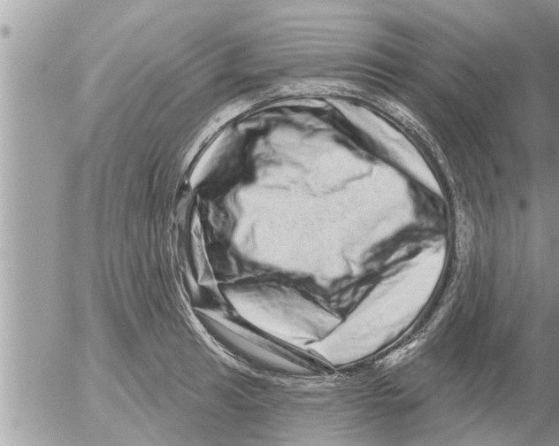 X0000052591041200507292052
