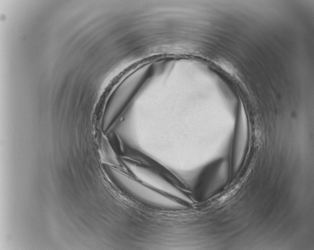 X0000052591070200507292051
