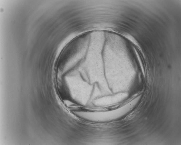 X0000052591096200507292051