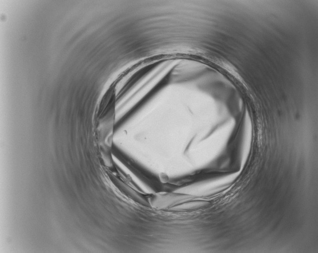 X0000052591116200507292050