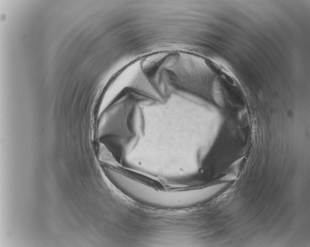 X0000052591143200507292051