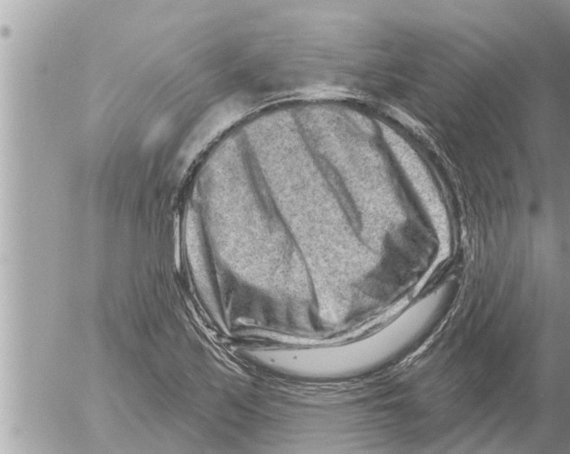 X0000052591171200507292050