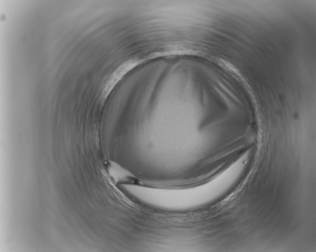 X0000052591177200507292050