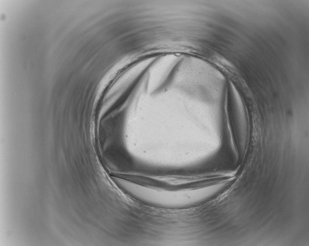 X0000052591188200507292049