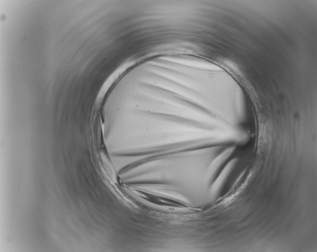 X0000052591196200507292049