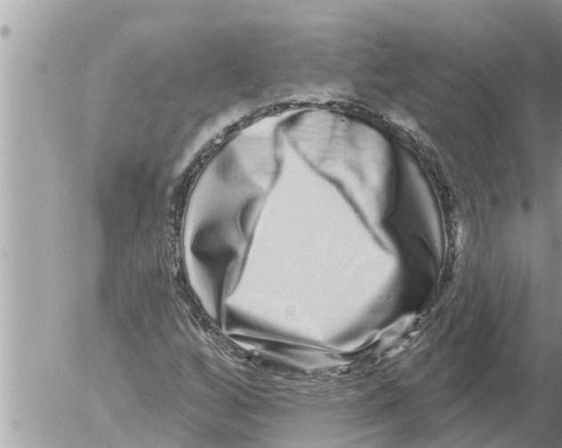 X0000052591256200507292048
