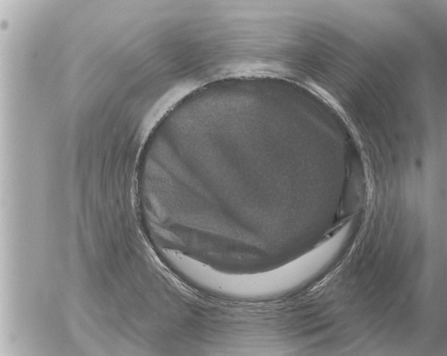 X0000052591277200507292048