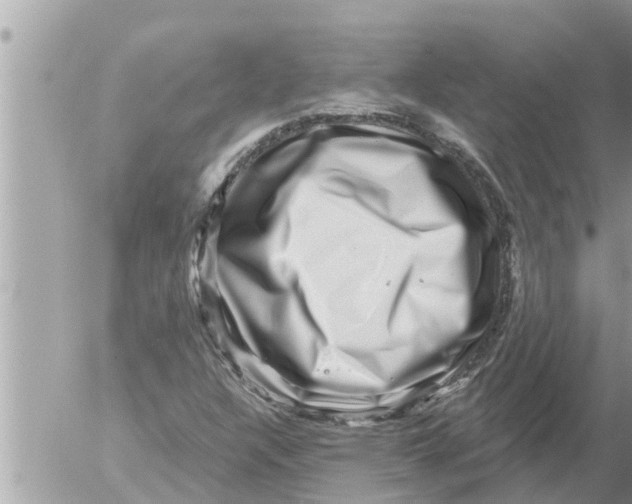 X0000052591304200507292047
