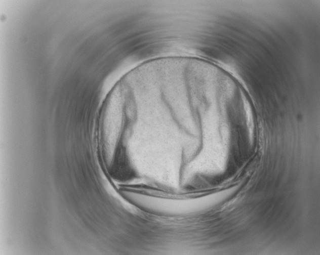 X0000052591387200507292046
