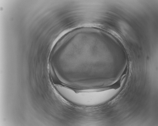 X0000052591428200507292046
