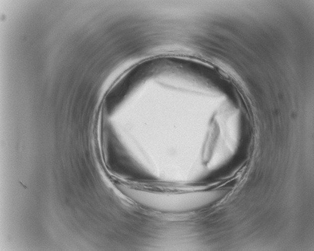 X0000052591440200507292046