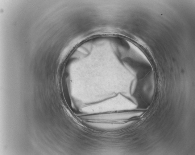 X0000052591464200507292045