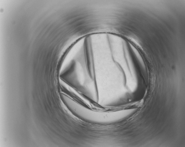 X0000052591468200507292045