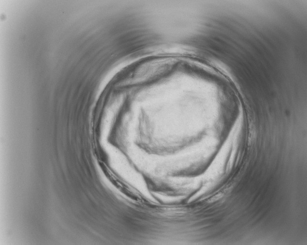 X0000052591483200507292045