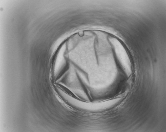 X0000052591511200507292044