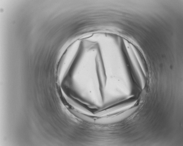 X0000052591532200507292044