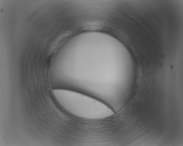 X0000052600114200507010924