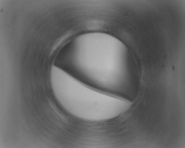 X0000052600116200507010923