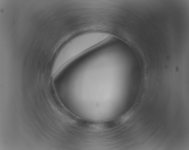 X0000052600164200507010922