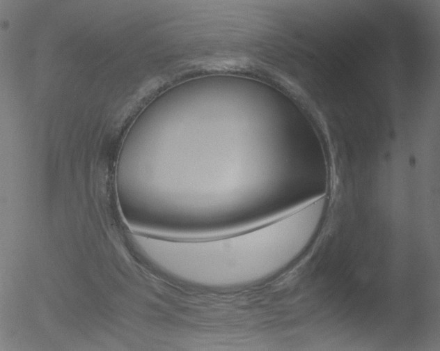 X0000052600201200507010922