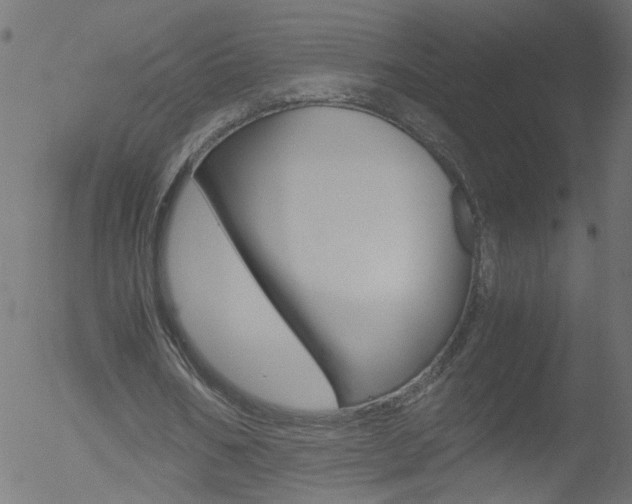 X0000052600578200507010916