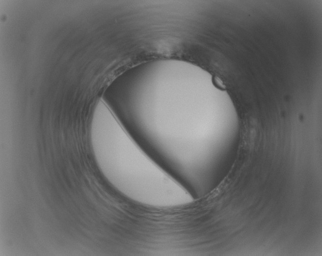 X0000052600656200507010915