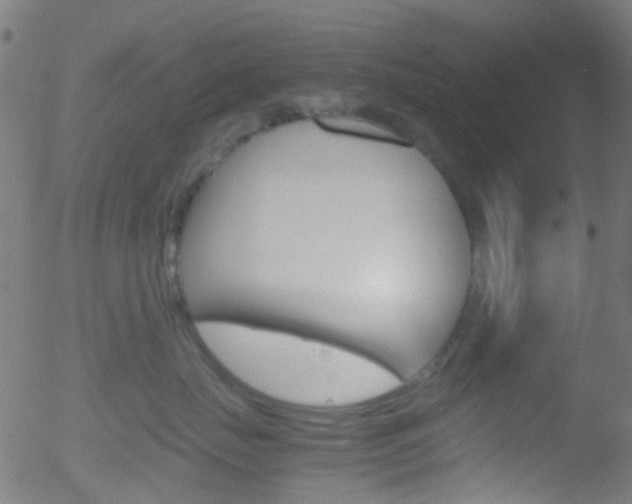 X0000052600671200507010915