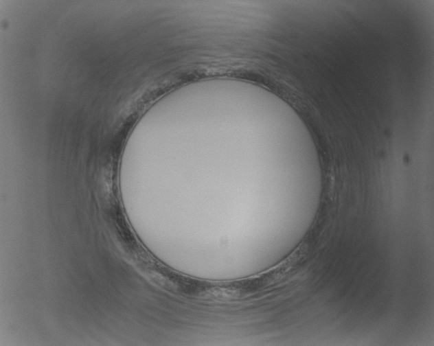 X0000052600691200507010914