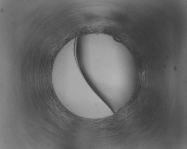 X0000052600772200507010912