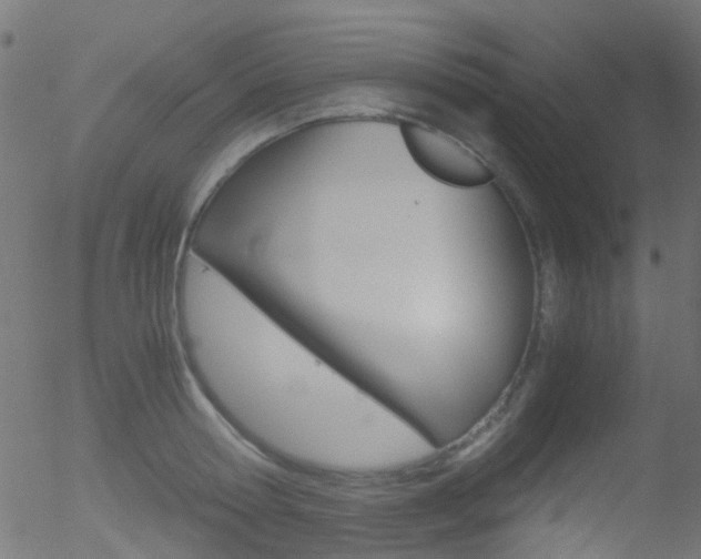 X0000052600802200507010912